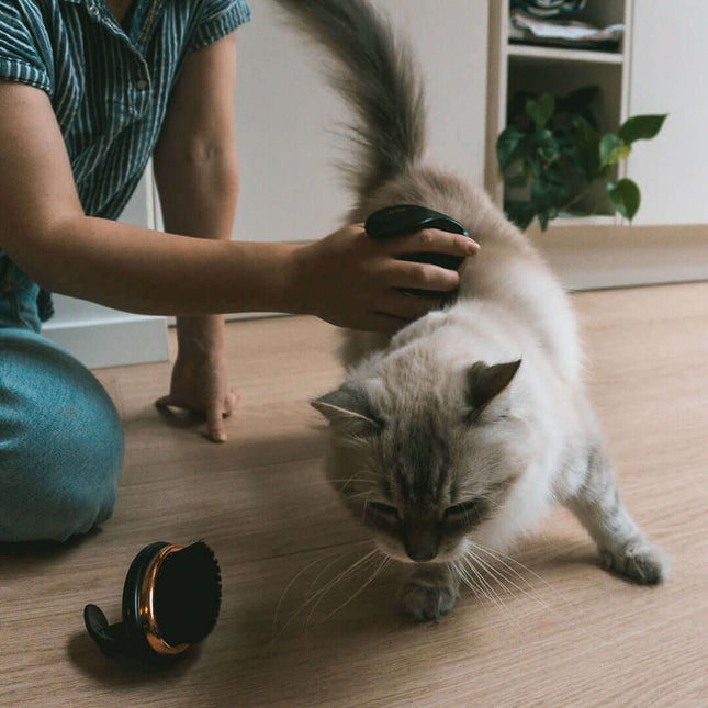 AnimalstoreXL Ebi Noir Ergonomische Slicker Borstel 11x7x9,5cm Brons/Zwart