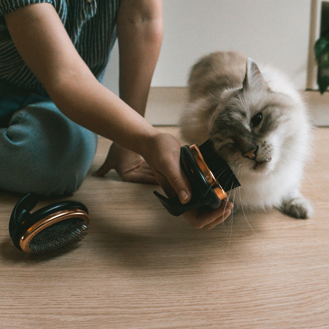 Ebi Noir Ergonomische Zachte - Slickerborstel 11x7x9,5cm