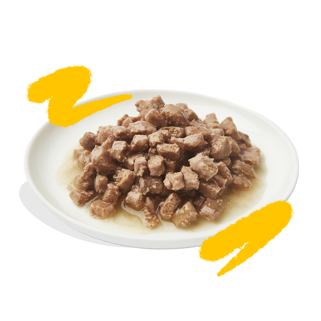 AnimalstoreXL Edgard & Cooper Kat Stukjes-in-saus Scharrelkalkoen & Kip Graanvrij