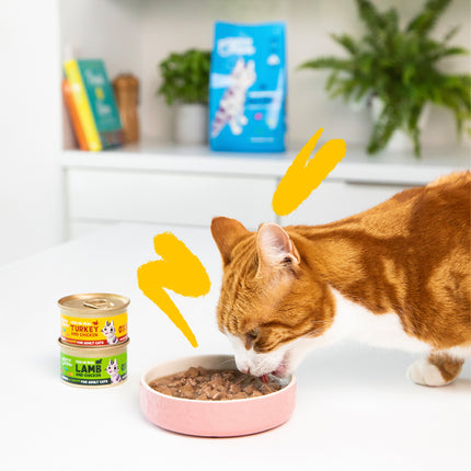 AnimalstoreXL Edgard & Cooper Kat Stukjes-in-saus Scharrelkalkoen & Kip Graanvrij