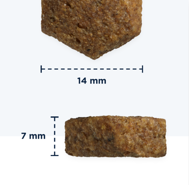 AnimalstoreXL Eukanuba Hondenbrokken Senior Klein/Middelgroot Lam & Rijst 2,5kg