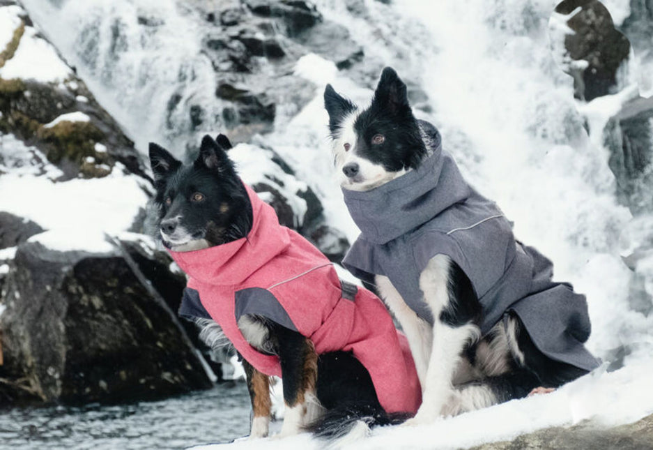 AnimalstoreXL Expedition Parka Blackberry 20cm