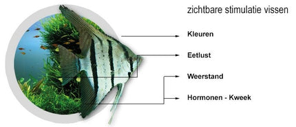 AnimalstoreXL Filter Medium 1 liter