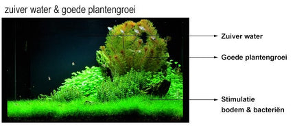 AnimalstoreXL Filter Medium 500ml