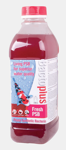 AnimalstoreXL Fresh PSB 2000ml