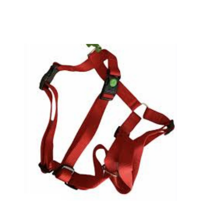 Harness Bh Nylon Red 20mm/H55 B75