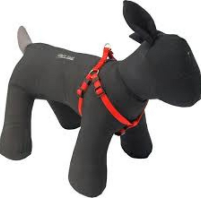 Harness Bh Nylon Red 20mm/H55 B75