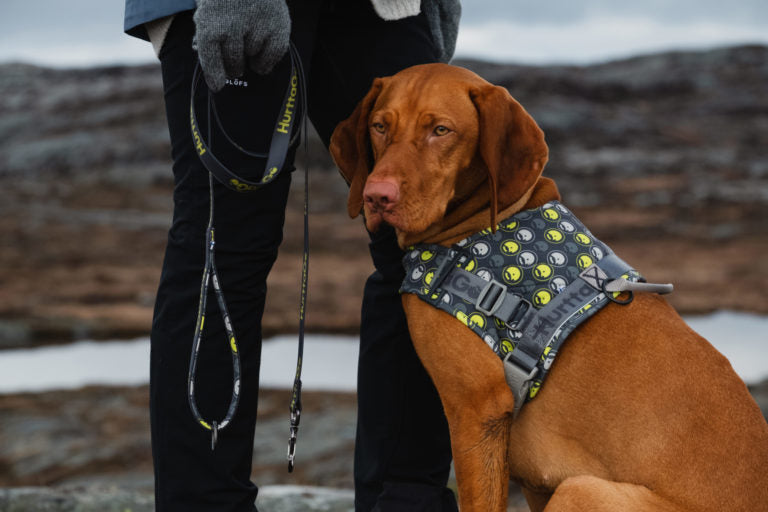 AnimalstoreXL Hurtta Go harnas voor honden