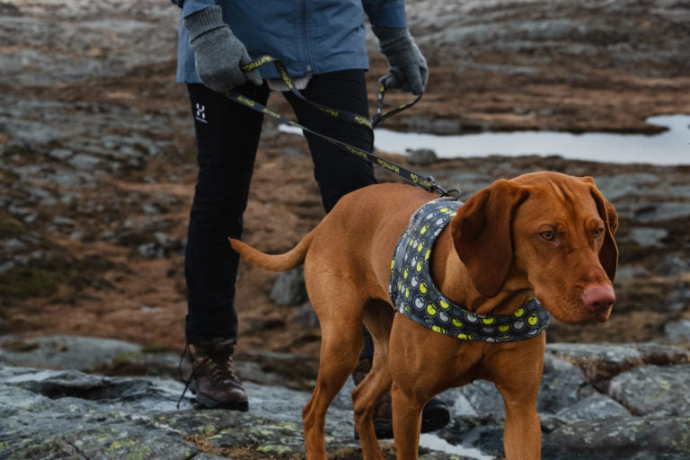 AnimalstoreXL Hurtta Go harnas voor honden