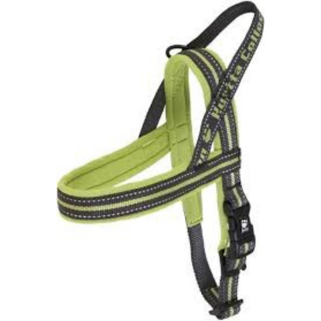 Harness Padded Cherry 80cm