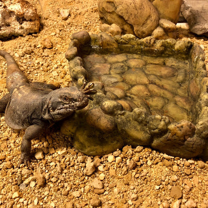 AnimalstoreXL Hoekwaterbak Medium