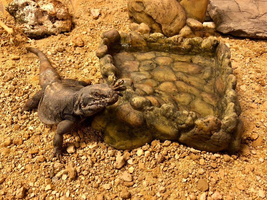 AnimalstoreXL Hoekwaterbak Medium