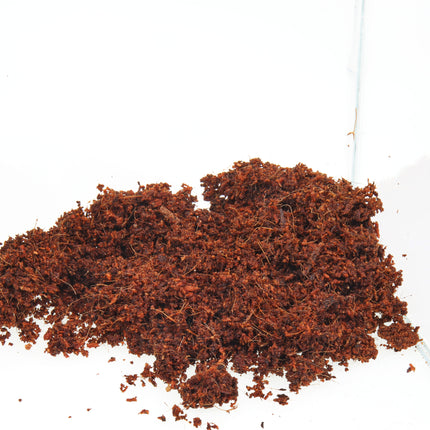 AnimalstoreXL TerraCoco Humus 600g 9 liter