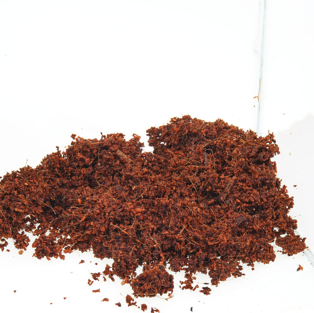 AnimalstoreXL TerraCoco Humus 600g 9 liter