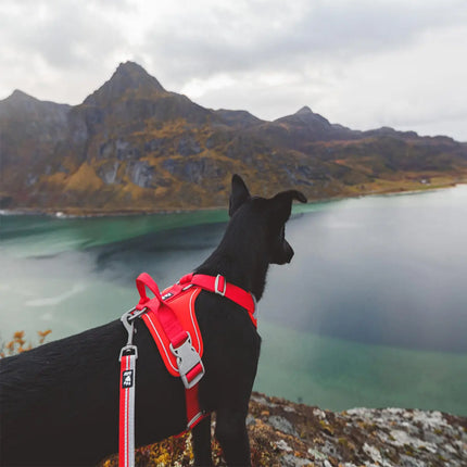 AnimalstoreXL Hurtta hondentuig Weekend Warrior eco rood