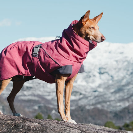 AnimalstoreXL Hurtta Expedition Parka Beetroot