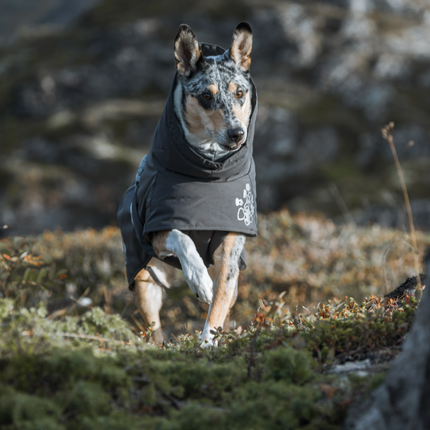 AnimalstoreXL Hurtta Extreme Warmer Blackberry