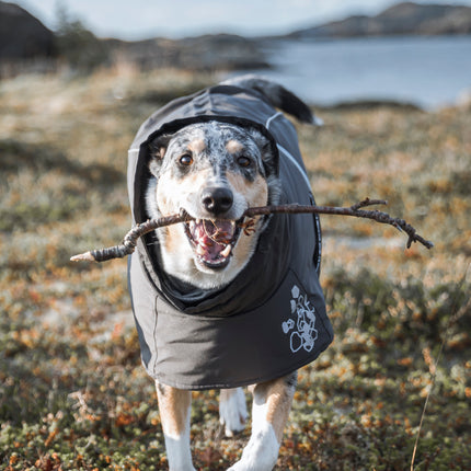 AnimalstoreXL Hurtta Extreme Warmer Blackberry