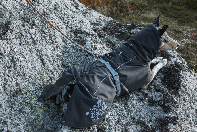 AnimalstoreXL Hurtta Extreme Warmer Blackberry