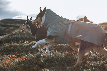 AnimalstoreXL Hurtta Extreme Warmer Blackberry