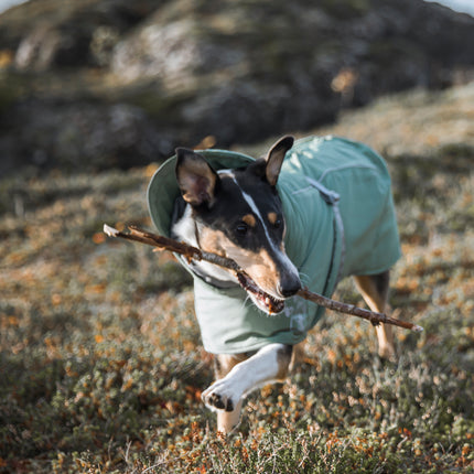 AnimalstoreXL Hurtta Extreme Warmer Eco Hedge