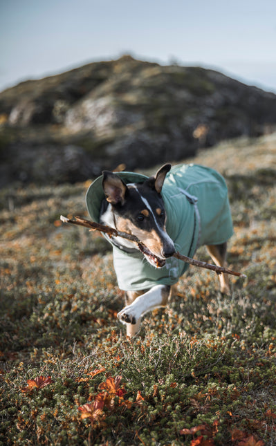 AnimalstoreXL Hurtta Extreme Warmer Eco Hedge