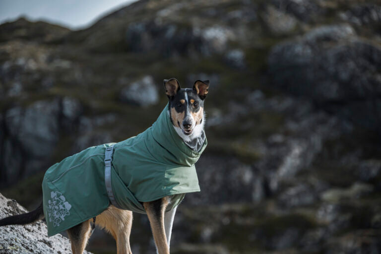 AnimalstoreXL Hurtta Extreme Warmer Eco Hedge