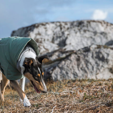 AnimalstoreXL Hurtta Extreme Warmer Eco Hedge