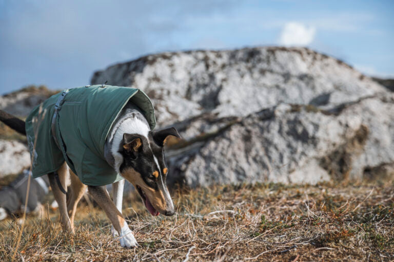 AnimalstoreXL Hurtta Extreme Warmer Eco Hedge