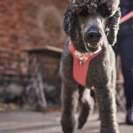 AnimalstoreXL Hurtta hondentuig Weekend Warrior roze