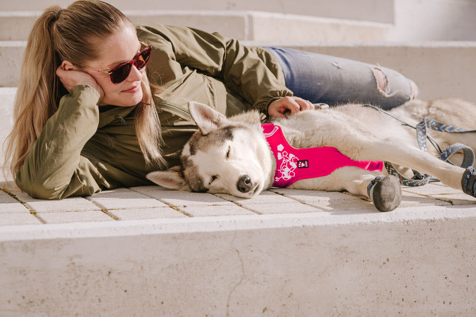 AnimalstoreXL Hurtta hondentuig Weekend Warrior roze