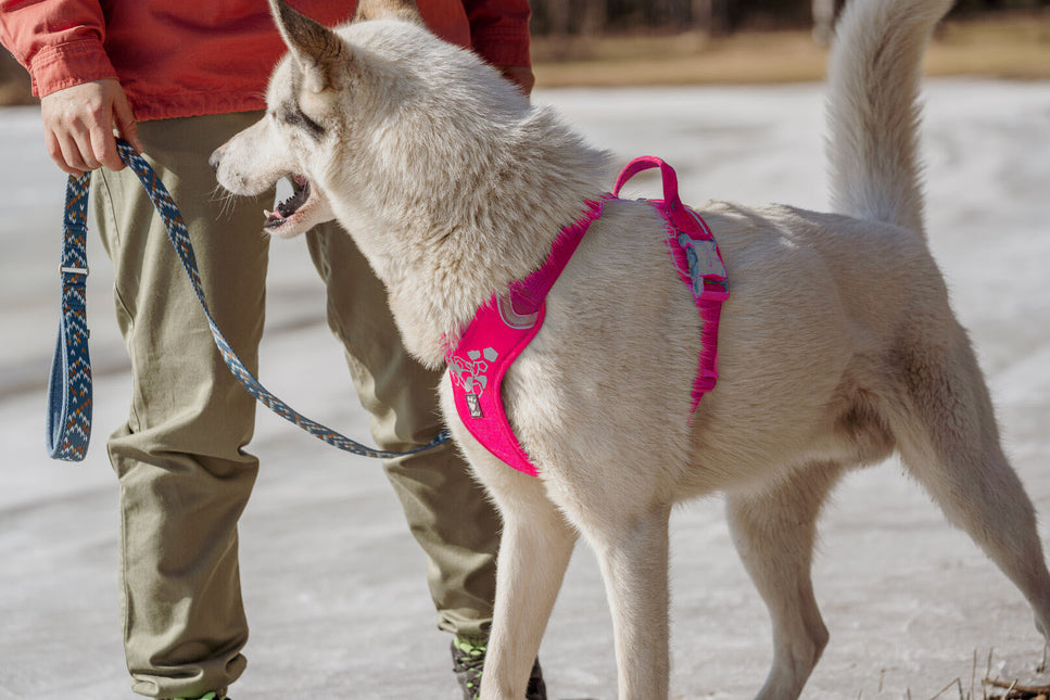 AnimalstoreXL Hurtta hondentuig Weekend Warrior roze