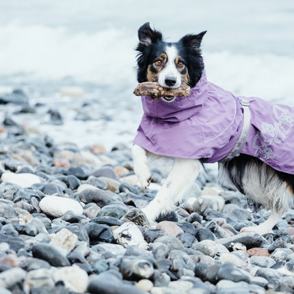AnimalstoreXL Hurtta Hondenjas Drizzle Coat Currant