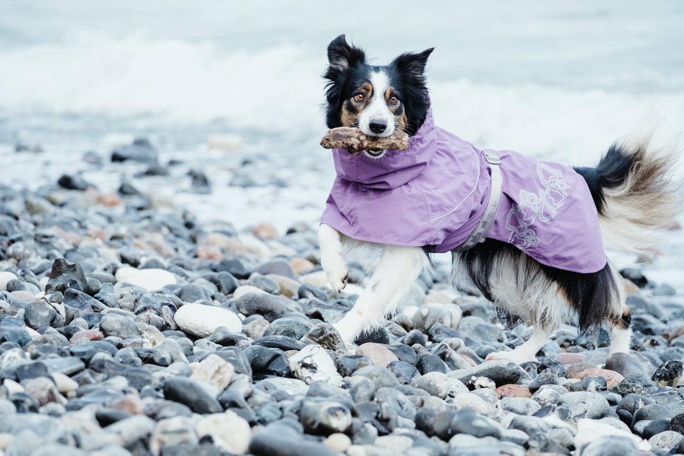 AnimalstoreXL Hurtta Hondenjas Drizzle Coat Currant