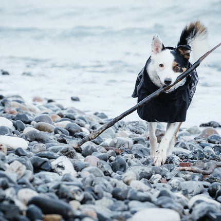 AnimalstoreXL Hurtta Hondenjas Drizzle Coat Raven