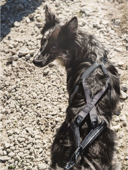 AnimalstoreXL Hurtta hondentuig X-Sport zwart