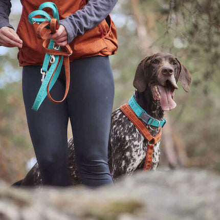 AnimalstoreXL Hurtta Leash Casual Eco Cinnamon 2 180cm