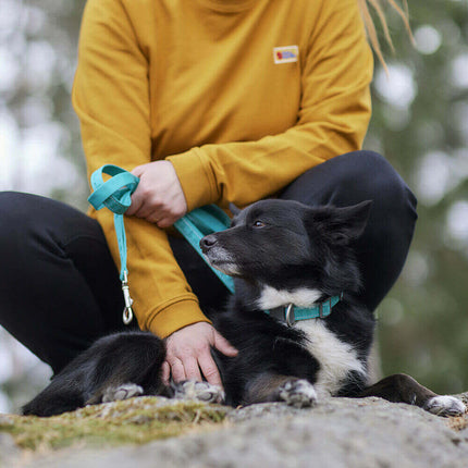 AnimalstoreXL Hurtta Leash Casual Eco Cinnamon 2 180cm