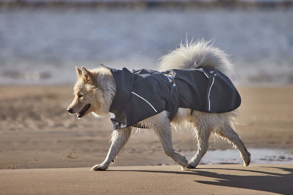 AnimalstoreXL Hurtta Mudventure Coat Eco Blackb.25cm