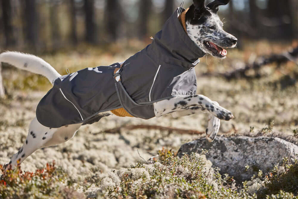 AnimalstoreXL Hurtta Mudventure Coat Eco Blackb.25cm