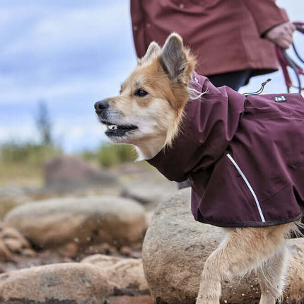 AnimalstoreXL Hurtta Mudventure Coat Eco Eggplant 25cm
