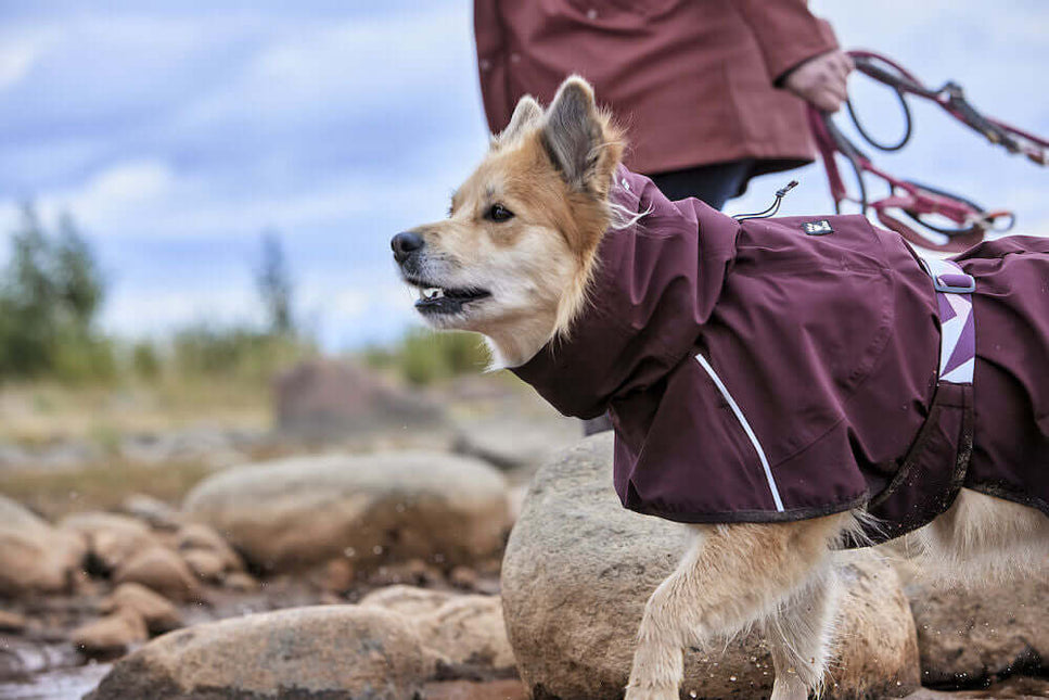 AnimalstoreXL Hurtta Mudventure Coat Eco Eggplant 25cm