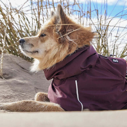 AnimalstoreXL Hurtta Mudventure Coat Eco Eggplant 25cm