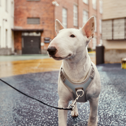 AnimalstoreXL Hurtta Venture no-pull harnas Shadow
