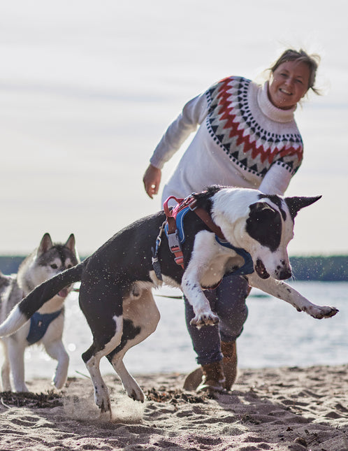 AnimalstoreXL Hurtta Weekend Warrior Warming harnas ECO 80-100cm