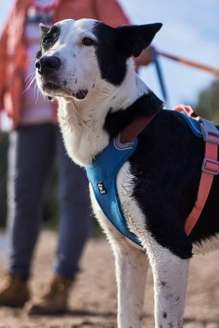 AnimalstoreXL Hurtta Weekend Warrior Warming harnas ECO 80-100cm