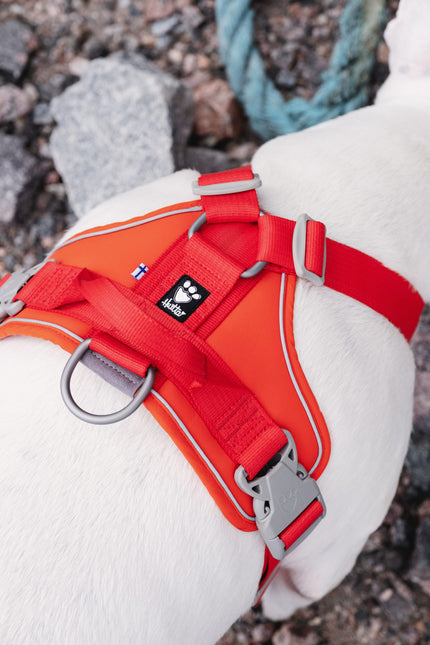 AnimalstoreXL Hurtta hondentuig Weekend Warrior eco rood