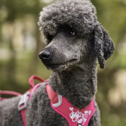 AnimalstoreXL Hurtta hondentuig Weekend Warrior roze