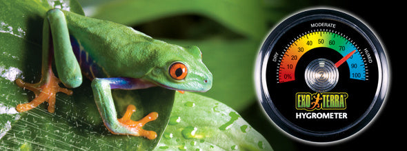 AnimalstoreXL Hygrometer Rept-O-Meter