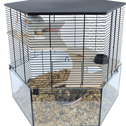 AnimalstoreXL Interzoo Hamsterkooi Vision Hexo xL